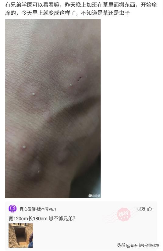 西北玄天一片云(这个商家也太会玩了吧)