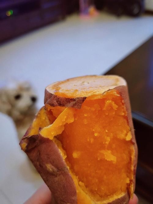 微波炉烤红薯的做法