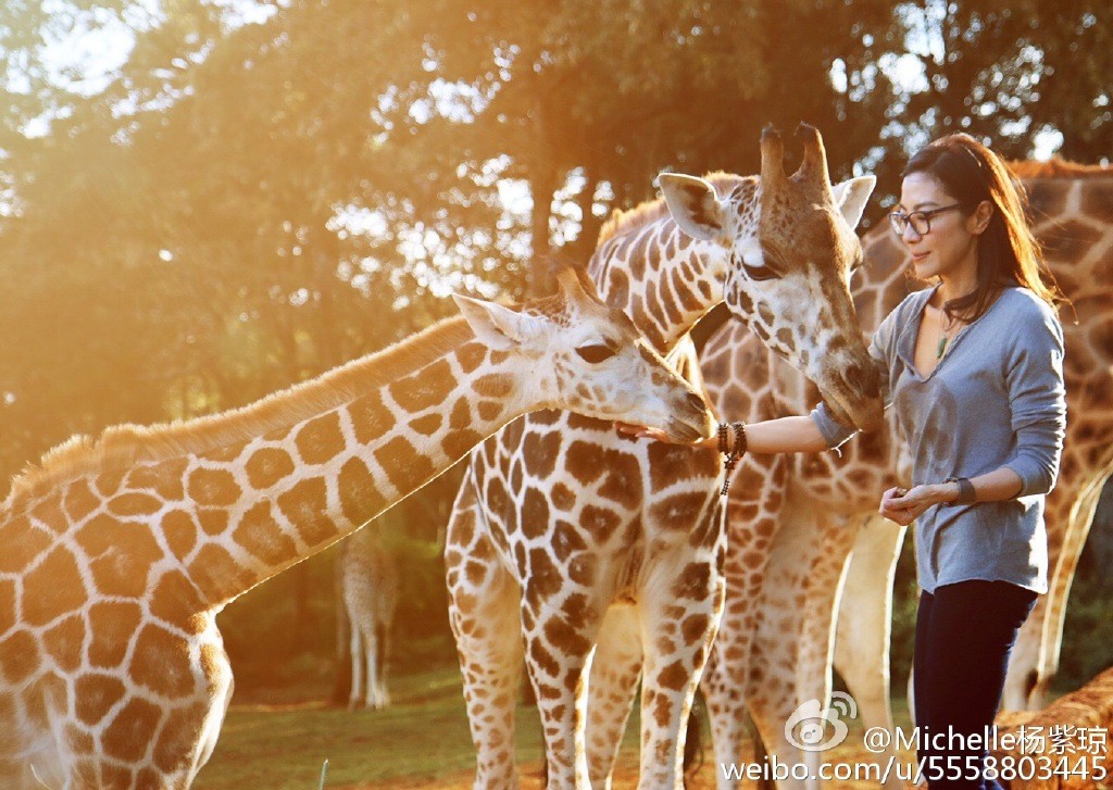 杨紫琼老公法拉利老板托德身价多少 杨紫琼老公法拉利老板托德身价多少