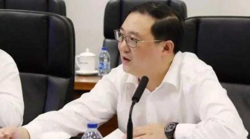 董卿老公密春雷身份曝光(密春雷的前妻是谁)(2)_