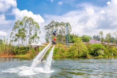 ​成都爱之家动物救助中心(成都爱之家动物救助中心地址电话)