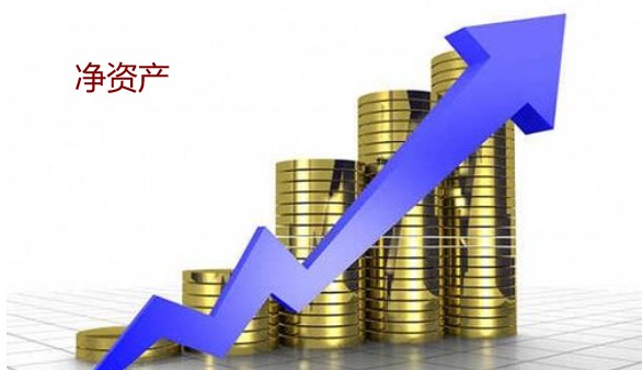 净资产计算公式,净资产是怎么计算出来的图1