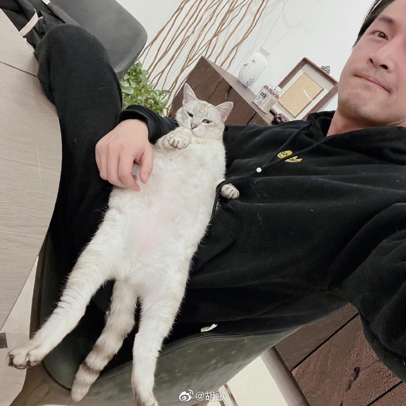 胡歌官宣和圈外老婆生下女儿，工作室回应：感谢大家一路陪伴胡歌先生走过人生每一个重要阶段，祝福！