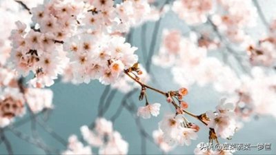 ​52岁寡妇和她的儿子：如何在没有社保的困境中，找到真爱和新生活