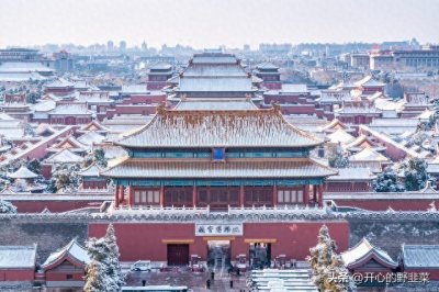 ​中华民国宪政之父张君劢