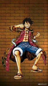 ​什么是海贼王一样的男人