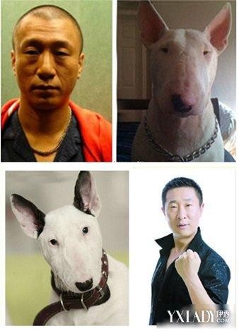 孟晚舟为什么被拘(加拿大为什么要抓孟晚舟)