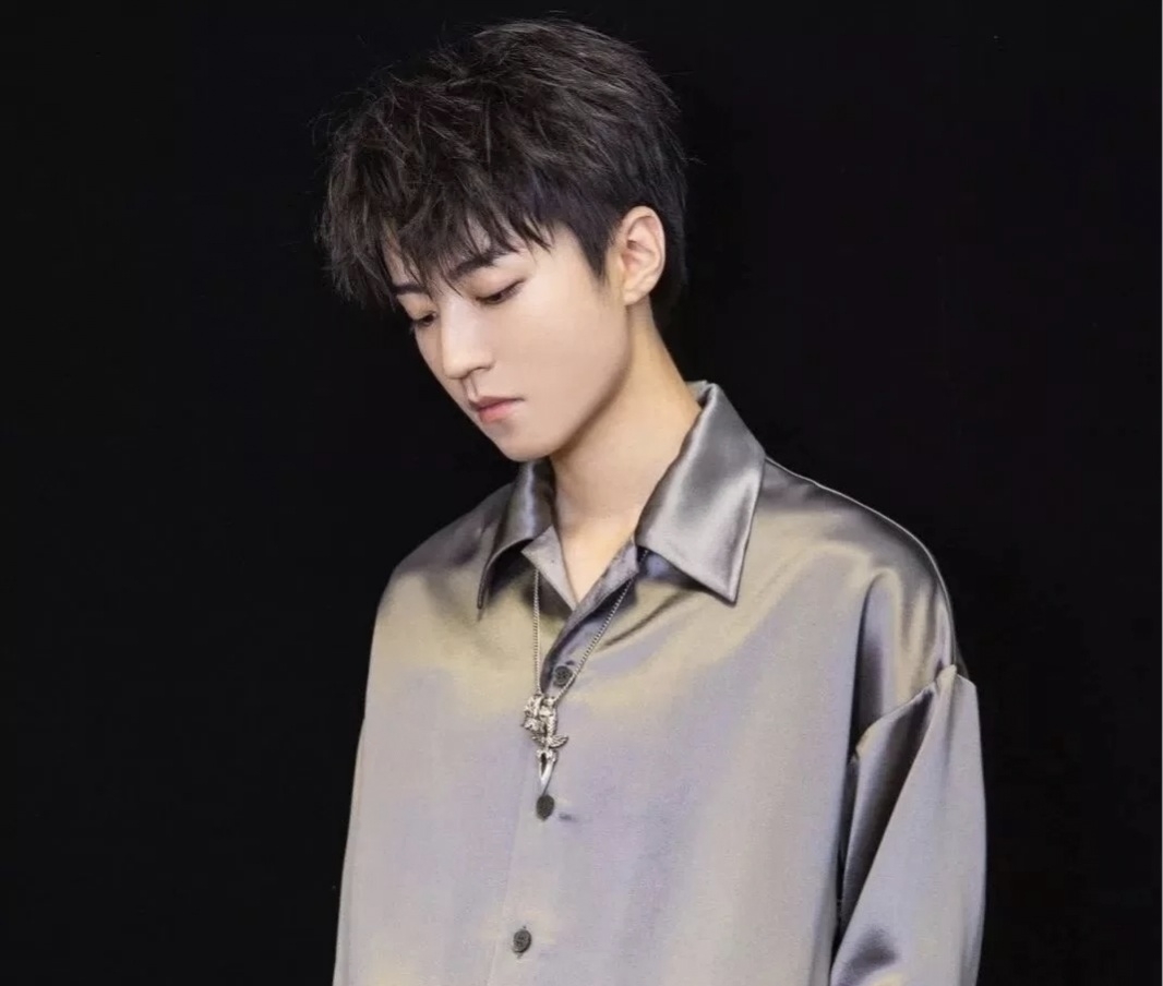 王俊凯属什么(王俊凯什么生肖)  第4张