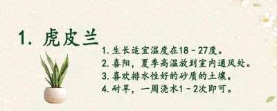 ​20种常见可水培植物，收藏吧，好养易打理。