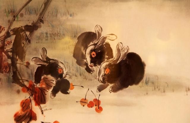 关于兔字的成语盘点(带有兔的成语有哪些)