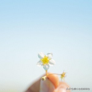 ​梦见一个人是你想他了还是他想你了