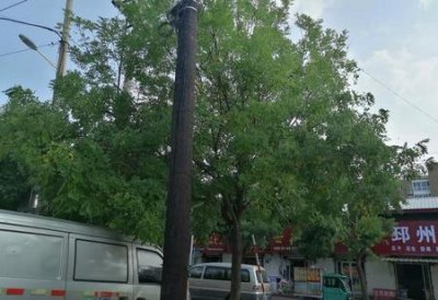 ​女明星怎么都那么瘦啊?(女明星为什么那么瘦?原因是这样)