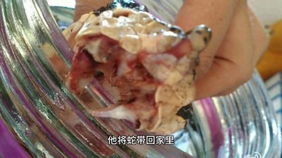 ​民间故事：蛇报恩