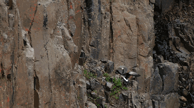 高评分的纪录片有哪些(6部接近满分的纪录片推荐)