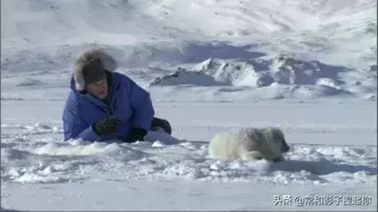 高评分的纪录片有哪些(6部接近满分的纪录片推荐)