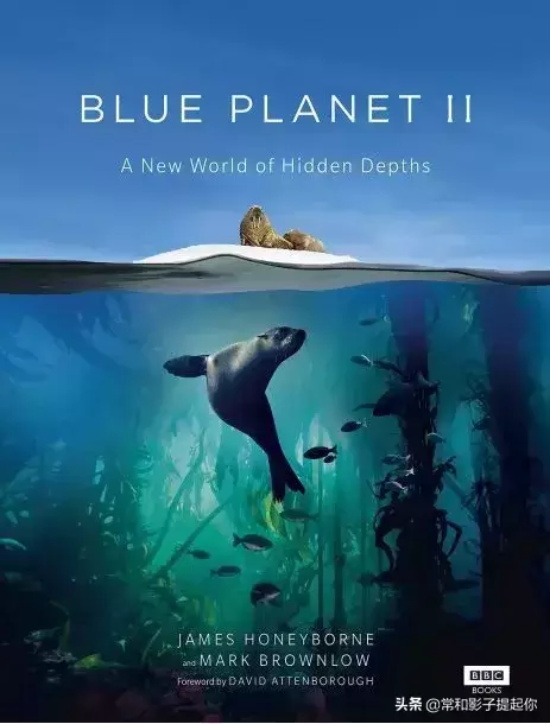 高评分的纪录片有哪些(6部接近满分的纪录片推荐)