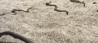 高评分的纪录片有哪些(6部接近满分的纪录片推荐)