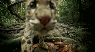 高评分的纪录片有哪些(6部接近满分的纪录片推荐)