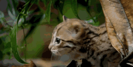 高评分的纪录片有哪些(6部接近满分的纪录片推荐)