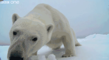 高评分的纪录片有哪些(6部接近满分的纪录片推荐)