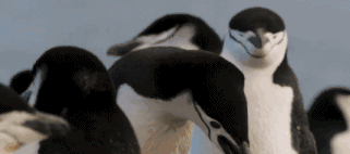 高评分的纪录片有哪些(6部接近满分的纪录片推荐)