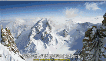 高评分的纪录片有哪些(6部接近满分的纪录片推荐)