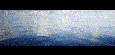 高评分的纪录片有哪些(6部接近满分的纪录片推荐)