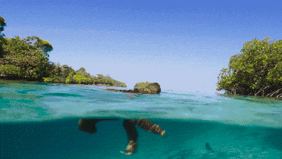 高评分的纪录片有哪些(6部接近满分的纪录片推荐)