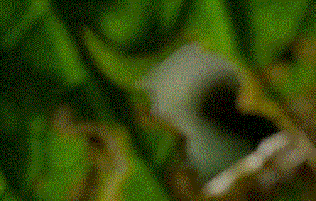 高评分的纪录片有哪些(6部接近满分的纪录片推荐)