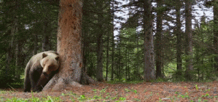 高评分的纪录片有哪些(6部接近满分的纪录片推荐)