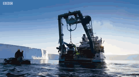 高评分的纪录片有哪些(6部接近满分的纪录片推荐)