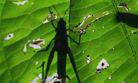 高评分的纪录片有哪些(6部接近满分的纪录片推荐)