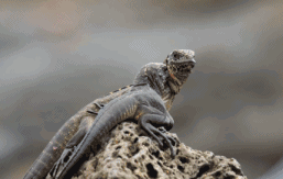 高评分的纪录片有哪些(6部接近满分的纪录片推荐)