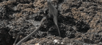 高评分的纪录片有哪些(6部接近满分的纪录片推荐)