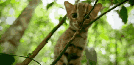 高评分的纪录片有哪些(6部接近满分的纪录片推荐)