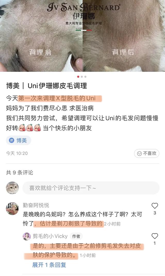 杨天真反对任何艺人公开恋情(杨天真否认签孙一宁)(39)
