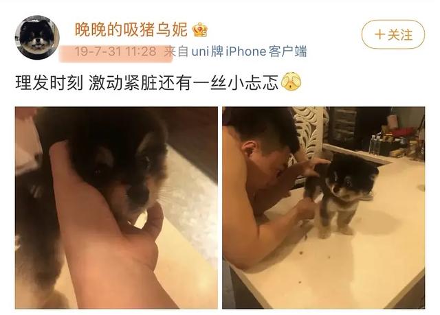 杨天真反对任何艺人公开恋情(杨天真否认签孙一宁)(40)