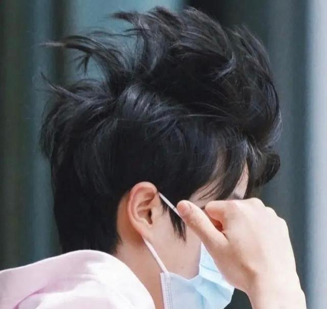 杨天真反对任何艺人公开恋情(杨天真否认签孙一宁)(62)