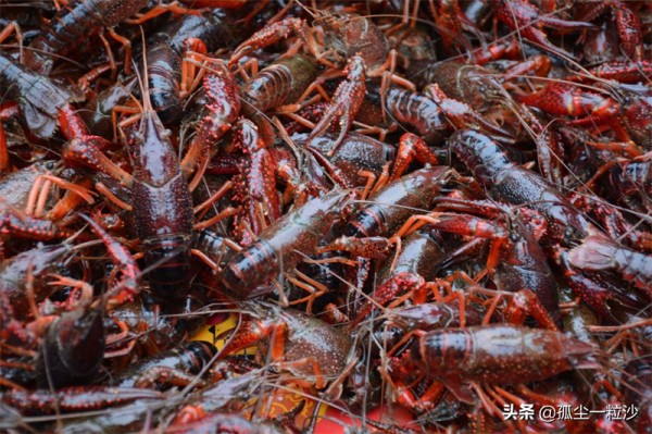 高青县属于哪个市(山东高青县属于哪个市)