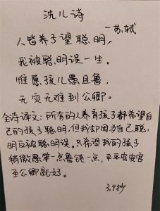 每天抄一首古诗:《洗儿诗》--苏轼