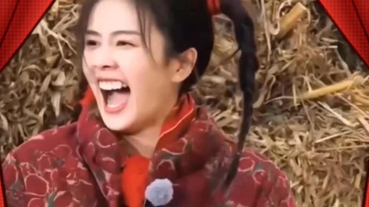 是什么让白鹿在娱乐圈脱颖而出