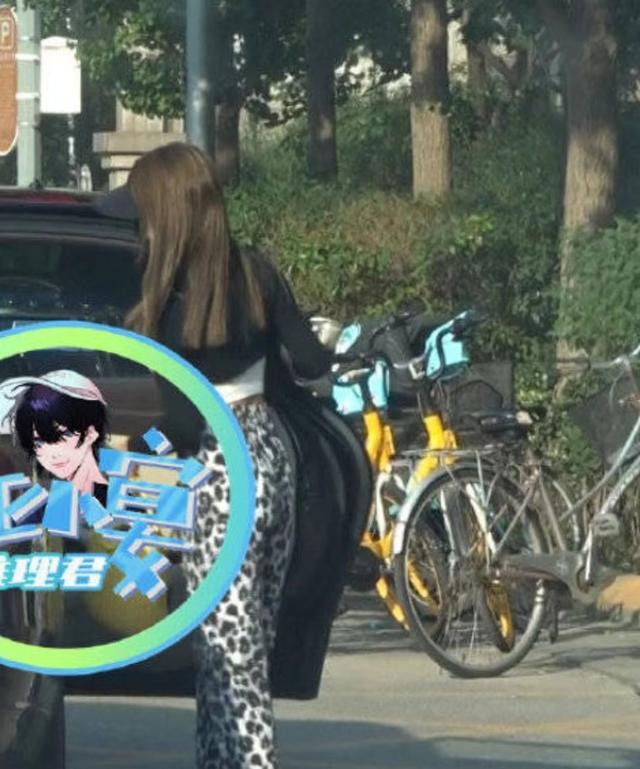 释小龙年轻美照（释小龙老婆带女儿出游被拍）(5)