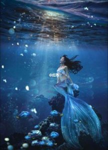 真实美人鱼:传说中的美丽与科学揭秘