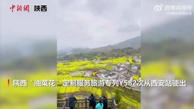 坐着高铁去撸串!这些专列,惹全网羡慕