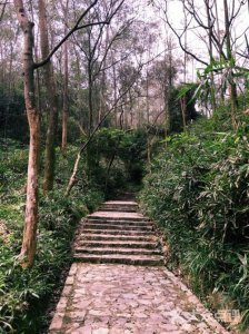 茶山镇好玩的景点排名