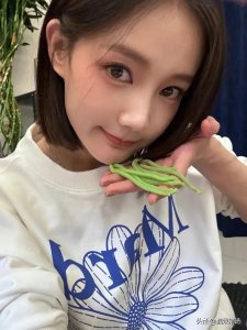 ​李一桐个人资料简介-中国内地女演员