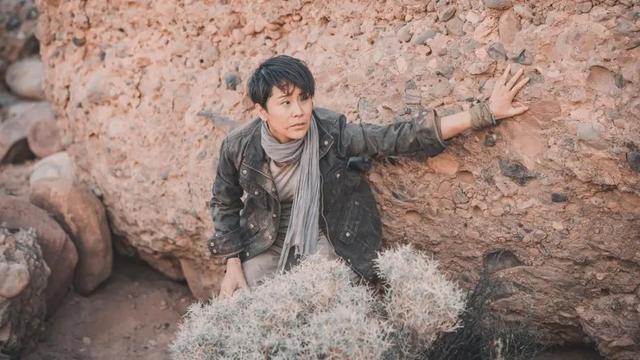 海清个人简介(女演员海清就得偿所愿了)(13)