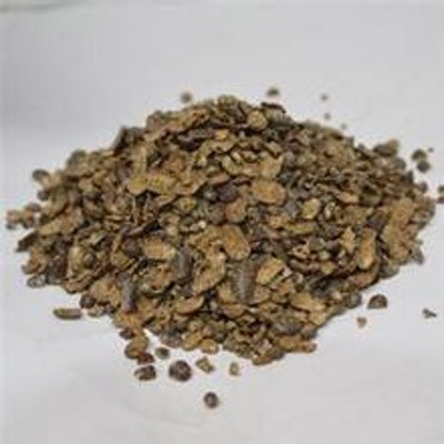 它叫做鼠妇 这名字怎么来的?