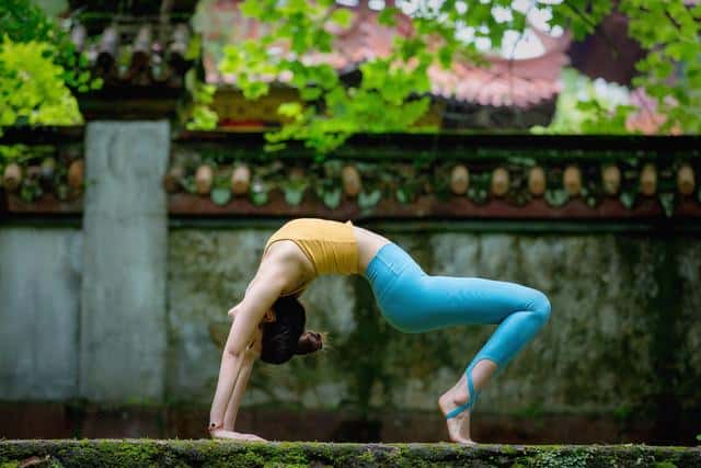 母其弥雅个人资料(简介,身高,年龄)（母其弥雅个人资料简介）
