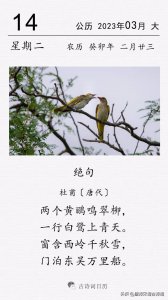 杜甫《绝句》:两个黄鹂鸣翠柳,一行白鹭上青天